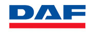 Owl Image