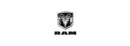 Owl Image